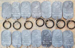 Colt M16A1 Keychain with Pony