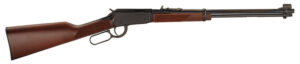 L/A 22Mag 19" B AS 11rd