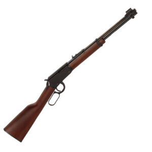 Henry Youth .22