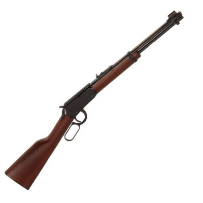 Henry Youth .22