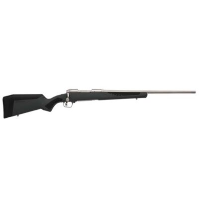 SAV 110 STORM 30-06 22 SS GRAY ACCUFIT 4RD DBM