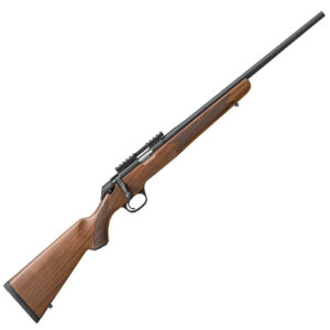 MOD 2020 RIM CLASSC 22LR 10RD